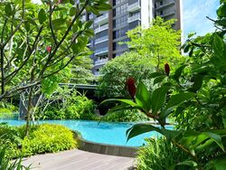 The Clement Canopy (D5), Apartment #377232371